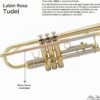 ean Paul TR-430 Trompeta Intermedia en Si♭ - Latón Lacado con Tudel de Latón Rosa