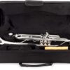 Jean Paul TR-430S - Trompeta intermedia Bb, bañada en plata