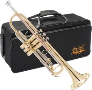 ean Paul TR-430 Trompeta Intermedia en Si♭ - Latón Lacado con Tudel de Latón Rosa
